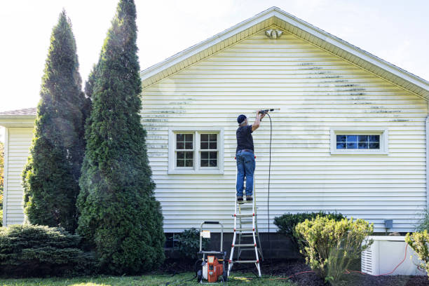 Best Driveway Pressure Washing  in Vandenberg Af, CA